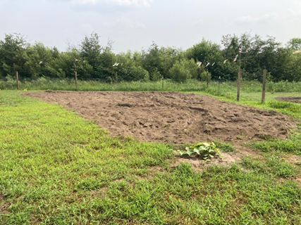 Soil prep for garlic.png